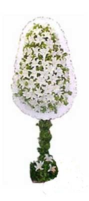  Ankara K�z�lay hediye sevgilime hediye �i�ek  nikah , d�g�n , a�ilis �i�ek modeli  Ankara K�z�lay g�venli kaliteli h�zl� �i�ek 