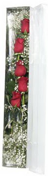  Ankara K�z�lay hediye sevgilime hediye �i�ek   5 adet g�lden kutu g�ller