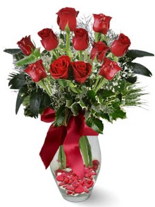 9 adet g�l  K�z�lay �i�ek online �i�ek sipari�i  kirmizi g�l 