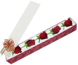  Kızılay çiçek online çiçek siparişi  kutu içerisinde 5 adet kirmizi gül