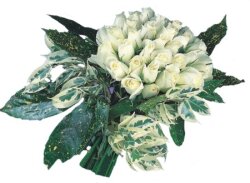  K�z�lay �i�ek ma�azas� , �i�ek�i adresleri  9 Beyaz g�l �zel kisiler i�in