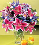  K�z�lay �i�ek sat���  Sevgi bah�esi �zel  bir tercih
