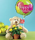  K�z�lay anneler g�n� �i�ek yolla  Ayicik balon ve saksida sari g�ller