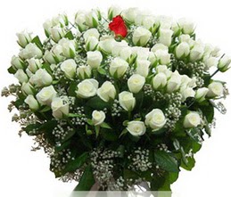  K�z�lay �i�ek online �i�ek sipari�i  100 adet beyaz 1 adet kirmizi g�l buketi