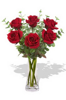  K�z�lay anneler g�n� �i�ek yolla  6 k�rm�z� g�l vazosu