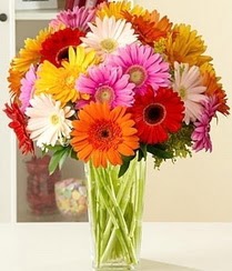  Ankara K�z�lay �i�ek�i telefonlar�  15 adet gerbera �i�ek vazosu