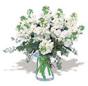 Ankara K�z�lay yurti�i ve yurtd��� �i�ek sipari�i  Vazoda beyaz g�zel sebboylar