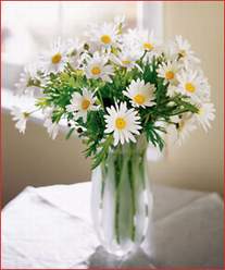 K�z�lay anneler g�n� �i�ek yolla  Cam vazoda dag papatyasi