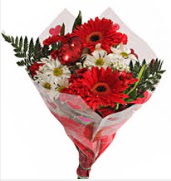 Mevsim �i�eklerinden g�rsel buket  Ankara K�z�lay �i�ek servisi , �i�ek�i adresleri 
