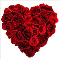  Ankara Kızılay çiçek yolla , çiçek gönder , çiçekçi   19 adet kırmızı gülden kalp tanzimi