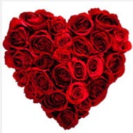  Ankara K�z�lay �i�ek yolla , �i�ek g�nder , �i�ek�i   19 adet k�rm�z� g�lden kalp tanzimi