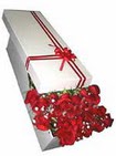  Ankara K�z�lay online �i�ek g�nderme sipari�  11 adet 1.kalite magnum g�ller