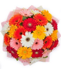 15 adet renkli gerbera buketi  Ankara Kızılay hediye çiçek yolla 