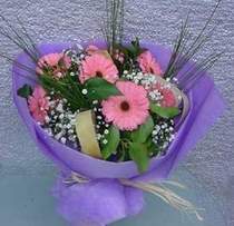  K�z�lay �i�ek�iler  9 adet gerbera g�zel �i�egi