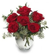 Vazo içerisinde 5 adet kırmızı gül  Kızılay anneler günü çiçek yolla 