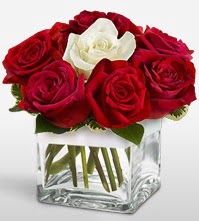 Tek a�k�ms�n �i�e�i 8 k�rm�z� 1 beyaz g�l  Ankara K�z�lay �i�ek yolla , �i�ek g�nder , �i�ek�i  