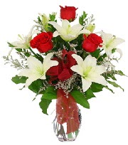 5 adet k�rm�z� g�l ve 1 dal kazablanka  Ankara K�z�lay hediye sevgilime hediye �i�ek 
