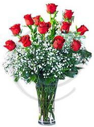 vazo i�erisinde 12 adet k�rm�z� g�l  Ankara K�z�lay �i�ek yolla , �i�ek g�nder , �i�ek�i  