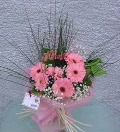  Ankara K�z�lay 14 �ubat sevgililer g�n� �i�ek  Pembe gerbera mevsim �i�ekleri