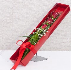 Kutu içerisinde 3 adet kırmızı gül  Ankara Kızılay güvenli kaliteli hızlı çiçek 