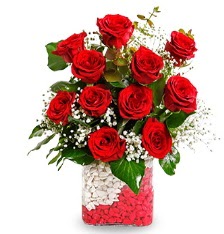 11 adet k�rm�z� g�l vazosu  Ankara K�z�lay yurti�i ve yurtd��� �i�ek sipari�i 
