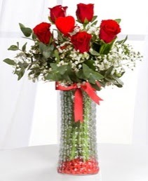 Cam vazoda 5 adet kırmızı gül kalp çubuk  Kızılay uluslararası çiçek gönderme 