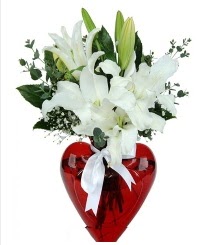 Kalp vazoda 3 kazablanka çiçeği  Ankara Kızılay internetten çiçek satışı 