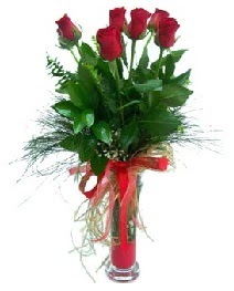 vazo i�erisinde 5 k�rm�z� g�l  K�z�lay ucuz �i�ek g�nder 
