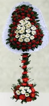  K�z�lay �i�ek online �i�ek sipari�i  �ift katl� d���n a��l�� �i�e�i