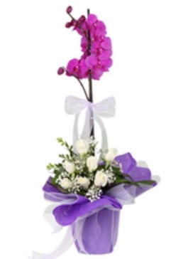 1 dal mor orkide ve 11 adet beyaz gül  Ankara Kızılay İnternetten çiçek siparişi 