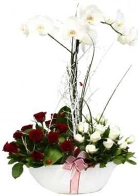 Tek dal beyaz orkide 8 beyaz 8 k�rm�z� g�l  K�z�lay cicek , cicekci 