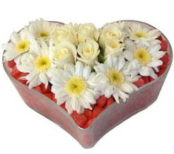 Kalp içerisinde 7 beyaz gül ve papatyalar  Kızılay çiçek online çiçek siparişi 