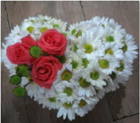 3 adet kırmızı gül mika kalptte papatyalar  Kızılay çiçek online çiçek siparişi 