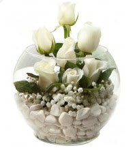 11 adet beyaz gül cam fanus çiçeği  Kızılay çiçek satışı 