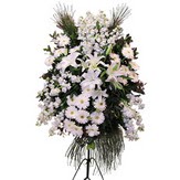  Ankara K�z�lay yurti�i ve yurtd��� �i�ek sipari�i  Ferforje beyaz renkli kazablanka