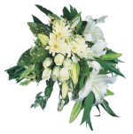  Ankara K�z�lay yurti�i ve yurtd��� �i�ek sipari�i  Beyaz kazablanka masumiyet