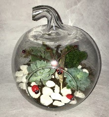 K���k terrarium elma 3 kakt�s  K�z�lay �i�ek sat��� 