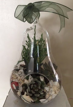 Orta boy armut terrarium 3 kakt�s  K�z�lay ucuz �i�ek g�nder 