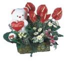  Ankara K�z�lay hediye �i�ek yolla  Lilyum ve oyuncakli arajman 