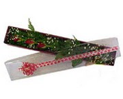  Ankara K�z�lay 14 �ubat sevgililer g�n� �i�ek  3 adet g�l.kutu yaldizlidir.
