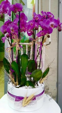 Seramik vazoda 4 dallı mor lila orkide  Ankara Kızılay güvenli kaliteli hızlı çiçek 