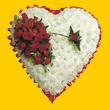 Ankara  K�z�lay �i�ek sipari�i sitesi  1.20m x 1.20m  Gerbera G�ller