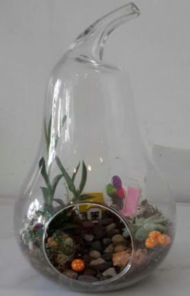 Orta boy cam armut terrarium  K�z�lay cicek , cicekci 