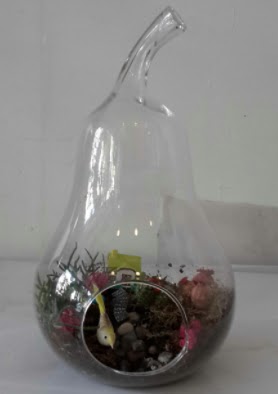 Armut orta boy cam terrarium tanzim  Ankara Kızılay online çiçek gönderme sipariş 
