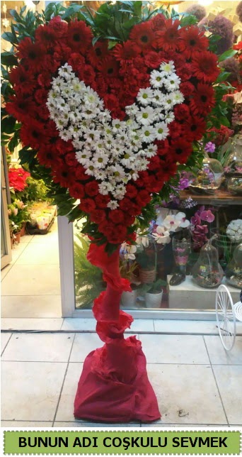Co�kulu bir a�k �i�e�i  K�z�lay uluslararas� �i�ek g�nderme 