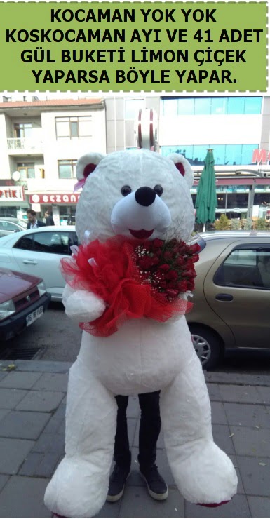 Koskocaman beyaz ayı ve 25 adet gül  Ankara Kızılay hediye sevgilime hediye çiçek 