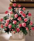  Ankara K�z�lay yurti�i ve yurtd��� �i�ek sipari�i  Minyat�r ve pembe karanfiller