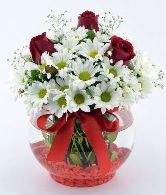 Fanusta 3 Gül ve Papatya  Kızılay çiçek online çiçek siparişi  