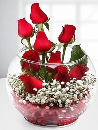 Kırmızı Mutluluk fanusta 9 kırmızı gül  Ankara Kızılay hediye sevgilime hediye çiçek 