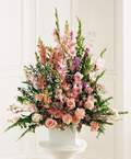  K�z�lay cicek , cicekci  Glayor karanfil Gerbera tanzim